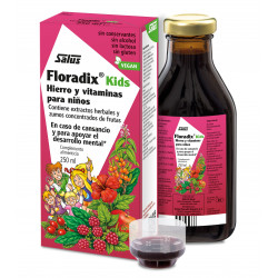 Floradix Kids 250 ml