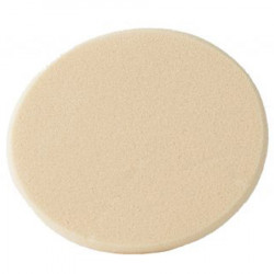 Disna Esponja Rosa con Funda VA-EMF