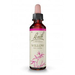 Bach 38 Willow - Willow 20 ml