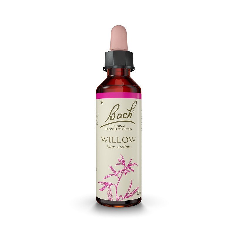 Bach 38 Willow - Willow 20 ml