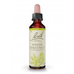 Bach 35 Chestnut - Whitechesnut 20ml