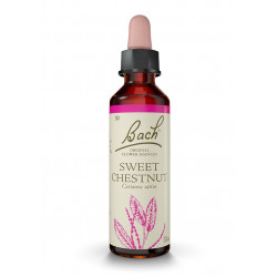 Bach 30 Castanha - Sweetchesnut 20ml