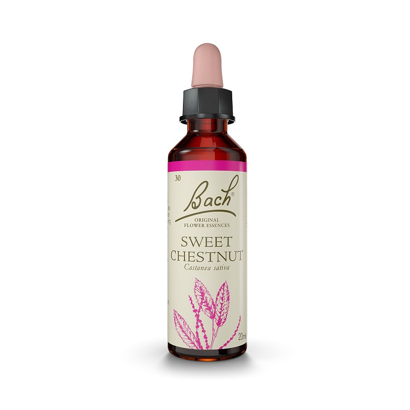 Bach 30 Chestnut - Sweetchesnut 20ml