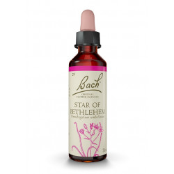 Bach 29 Stella Di Betlemme 20 ml