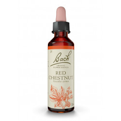 Bach 25 Chestnut - Red Chesnut 20 ml