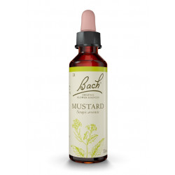 Bach 21 Mustard - Mustard 20 ml