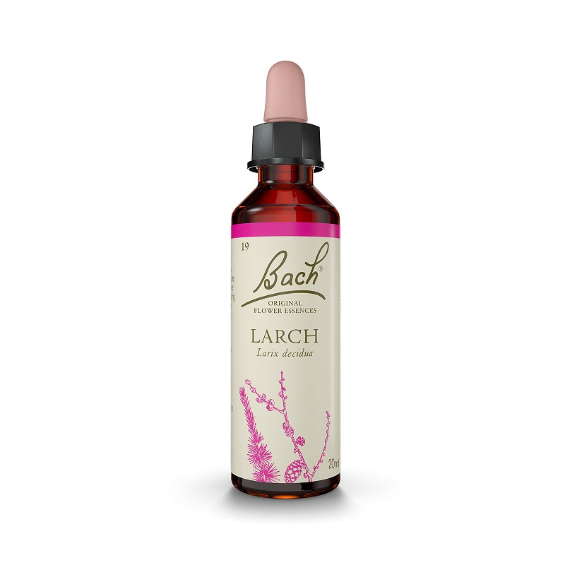 Bach 19 Larch - Larch 20 ml