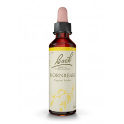 Bach 17 Hojarazo - Horbeam 20 ml