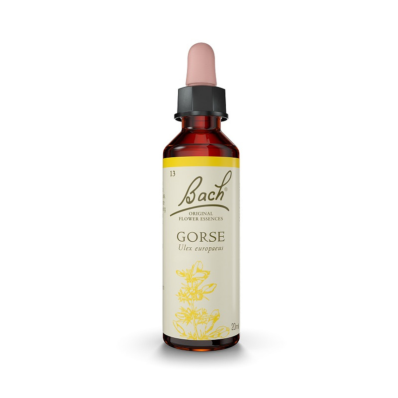 Bach 13 Aulaga - Gorse 20 ml