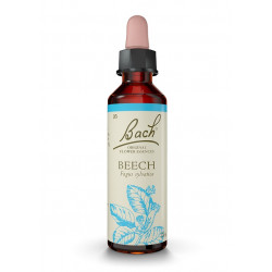 Bach 03 Beech-Beech 20 ml