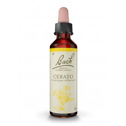 Bach 05 Cerat 20 ml