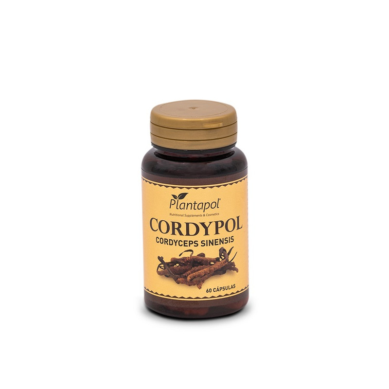 Cordypol bottle 60 capsules
