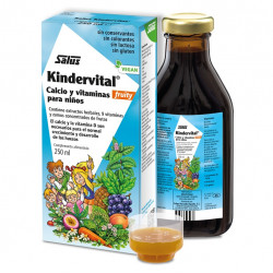 Salus Kindervital Fruchtig 250ml