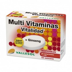 Vallesol Ginseng Vitality Multivitamin 24 Tablets