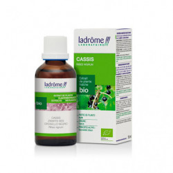Ladrome Estratto di Ribes Nero Bio 50ml