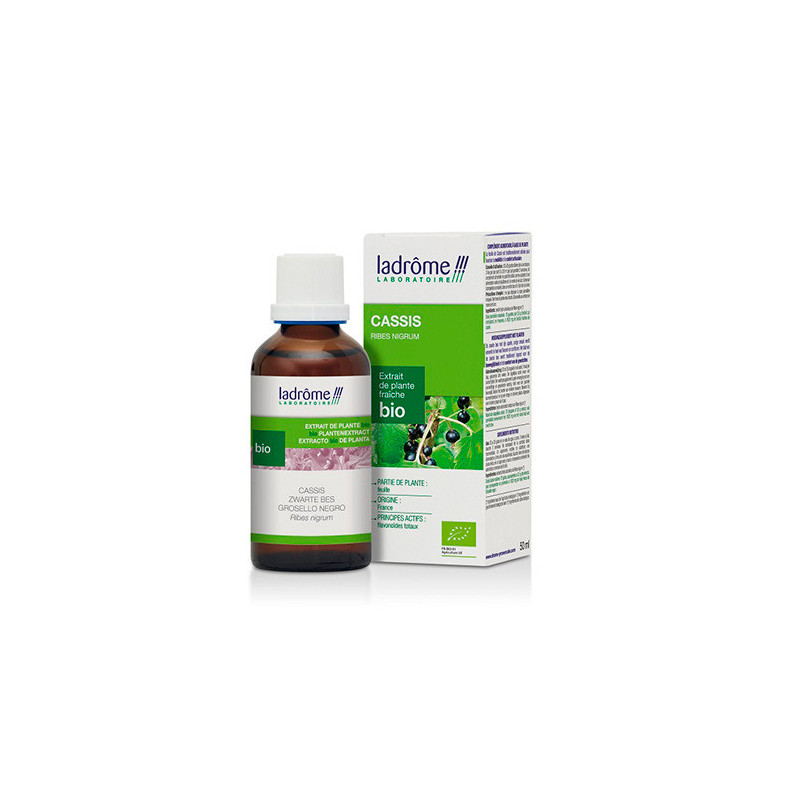 Ladrome Extracto de Grosellero Negro Bio 50ml