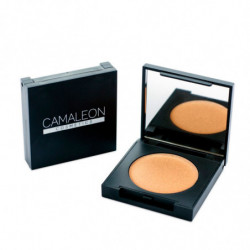 Camaleon Evidenziatore in bronzo